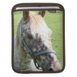 Dappled Appaloosa Horse iPad Sleeve