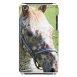 Dappled Appaloosa Horse iTouch Case iPod Touch Cover