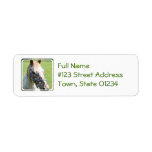 Dappled Appaloosa Horse  Mailing Label