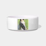 Dappled Appaloosa Horse Pet Bowl Cat Bowls