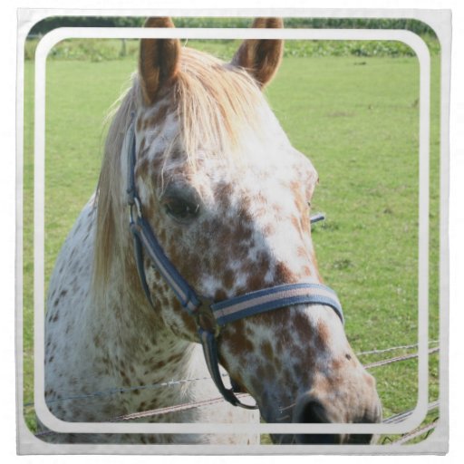 Dappled Appaloosa Horse Set of Four Napkins
