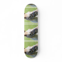 Dappled Appaloosa Horse  Skateboard
