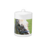 Dappled Appaloosa Horse Teapot