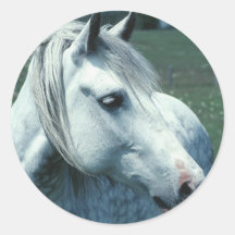 Dappled Grey in Flowered Pasture Round Sticker