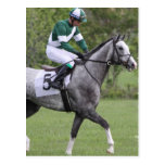 Dappled Grey Race Horse Postcards