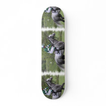 Dappled Grey Race Horse Skateboard