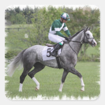 Dappled Grey Race Horse Stickers