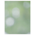 Dappled Light 7 letterhead