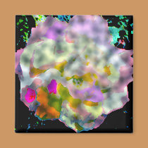 Dappled Painted Rose! magnets by Perlyyyy Dappled Painted Rose! magnets