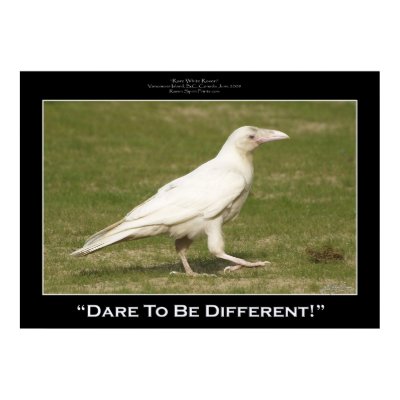 "DARE TO BE DIFFERENT" Photo Prints &amp; Posters by RavenSpiritPrints