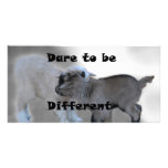 Dare To Be Different photo cards