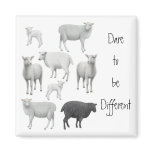 Dare to be Different Sheep Magnet