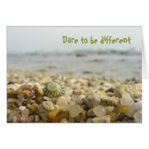 Dare to be different Shell & Pebbles at the beach cards