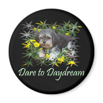 Dare to Daydream, Inspirational T-Shirts & Gifts! magnets by 50thbirthdaygifts Dare to Daydream, Inspirational T-Shirts & Gifts! magnets