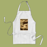 Daredevil Ballooners Aprons