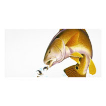 DAREDEVIL slogans#11-redfish-cutout photo cards by DaredevilDurags1957 DAREDEVIL slogans#11-redfish-cutout photo cards