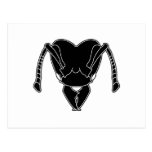 dark ant postcard