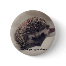 Dark baby button
