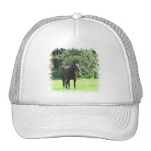 Dark Bay Horse Baseball Hat