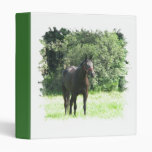 Dark Bay Horse Binder