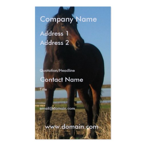 Dark Bay Horse Business Card (front side)