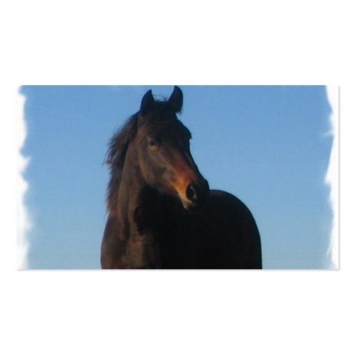 Dark Bay Horse Business Card (back side)