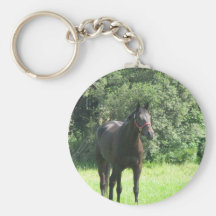 Dark Bay Horse Keychain