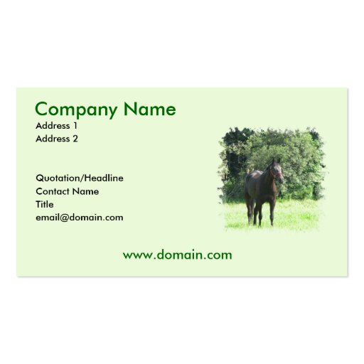Dark Bay Horse on a Business Card (front side)