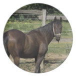 Dark Bay Horse  Plate