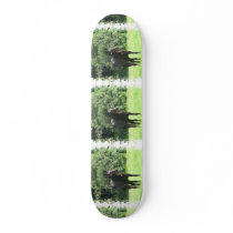 Dark Bay Horse Skateboard