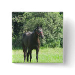 Dark Bay Horse Square Button