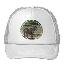 Dark Bay Thoroughbred Baseball Hat