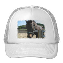 Dark Bay Thoroughbred Horse Baseball Hat