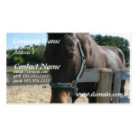 Dark Bay Thoroughbred Horse Business Card