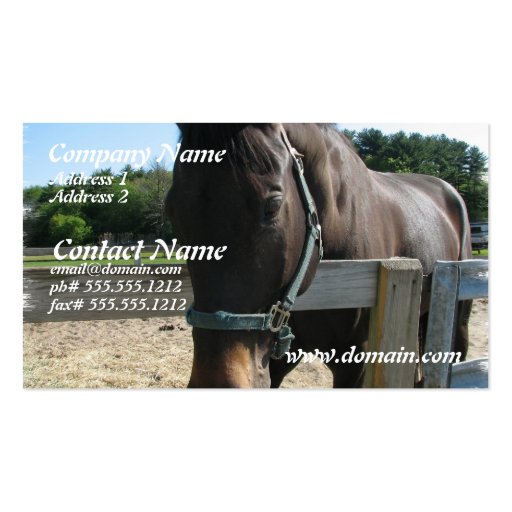Dark Bay Thoroughbred Horse Business Card (front side)