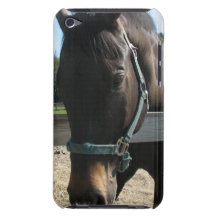 Dark Bay Thoroughbred Horse iTouch Case Barely There iPod Covers