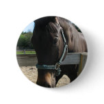 Dark Bay Thoroughbred Horse Round Button