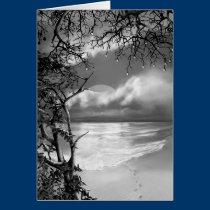 Dark Beach cards