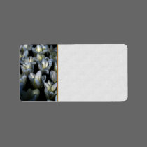 Dark Beauty labels