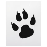 Dark big paw letterhead