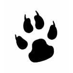 Dark big paw
