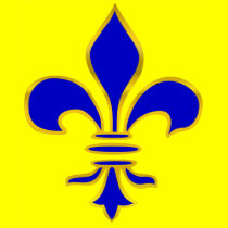 Dark blue  and gold fleur de lis t-shirt t-shirts