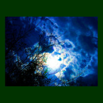 Dark Blue Skies - Rare Toronto Island Landscape posters by doonagiri Dark Blue Skies - Rare Toronto Island Landscape posters