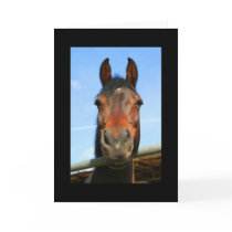 Dark Brown Horse Greeting Card and Note Card by MichaelFelix Dark Brown Horse Greeting Card and Note Card