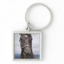 Dark Brown Horse Key Chains