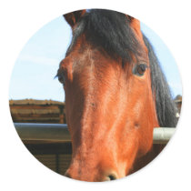 Dark Brown Horse Sticker