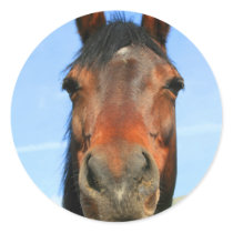 Dark Brown Horse Sticker