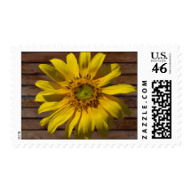 Dark Brown Wood Yellow Sunflower Postage