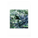 Dark Butterfly posters by johnsgirl8383 Dark Butterfly posters