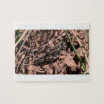 Dark Canyon Utah Insects / Arachnids Jigsaw Puzzles
